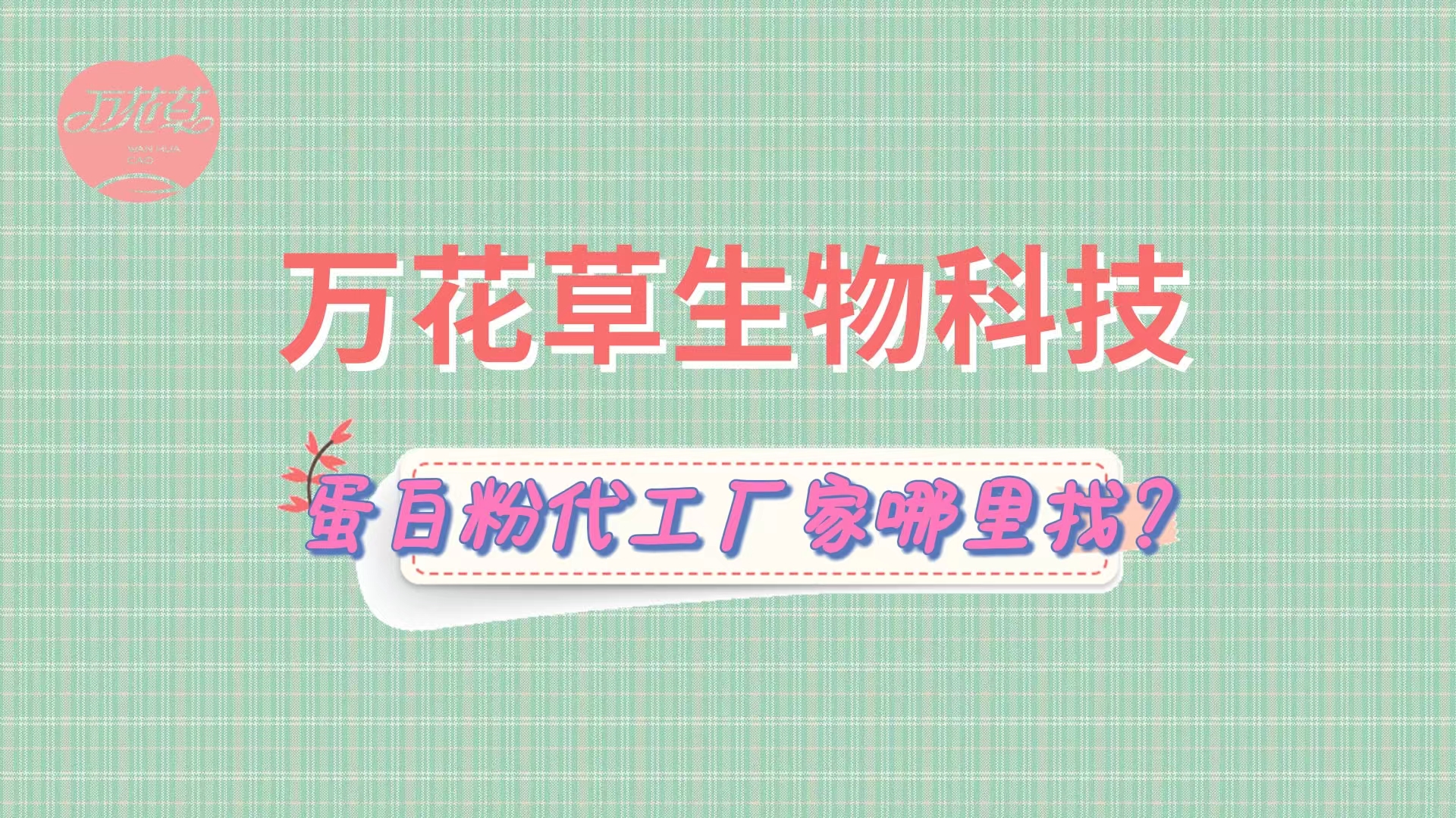 蛋白粉代加工，怎么找專業(yè)源頭廠家？