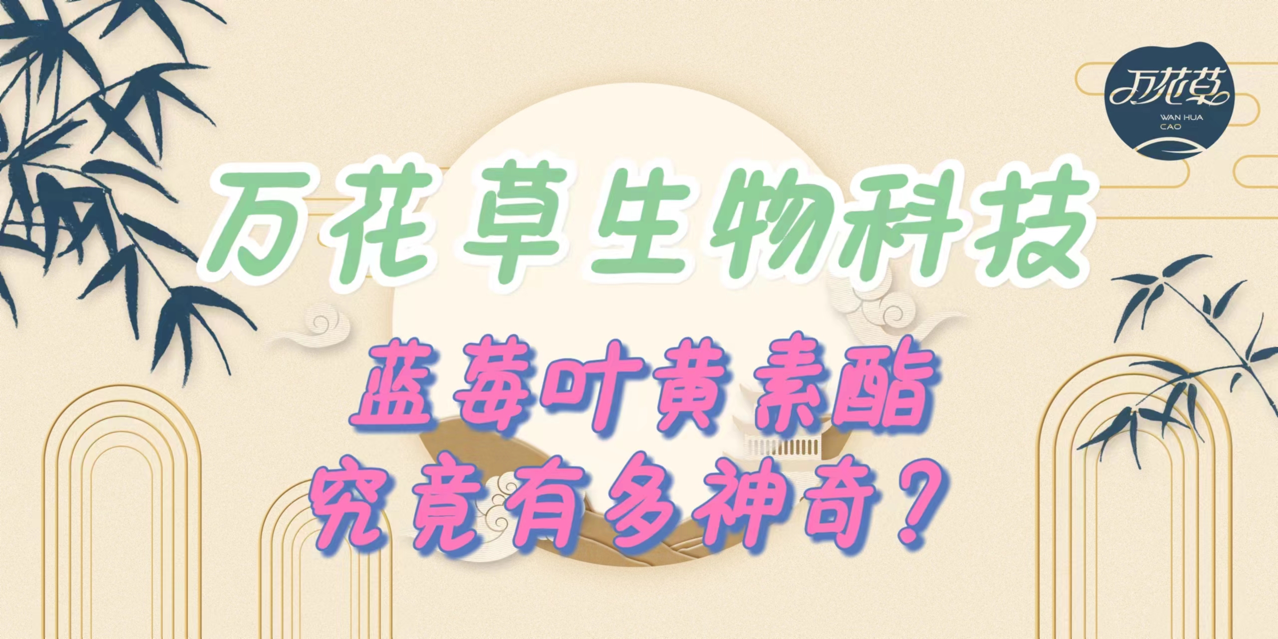 升級配方，重磅出擊，萬花草藍莓葉黃素酯究竟有多神奇？