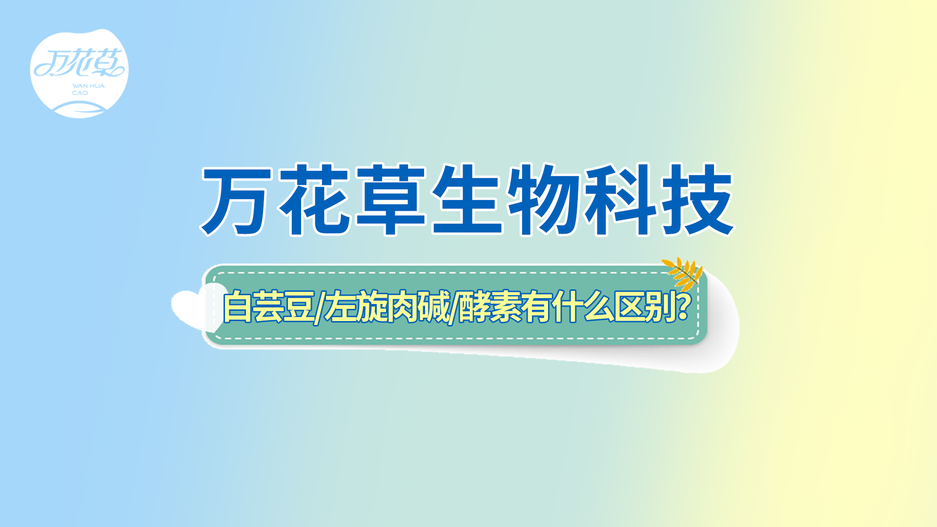 白蕓豆、左旋肉堿、嗨吃酵素有什么區(qū)別？